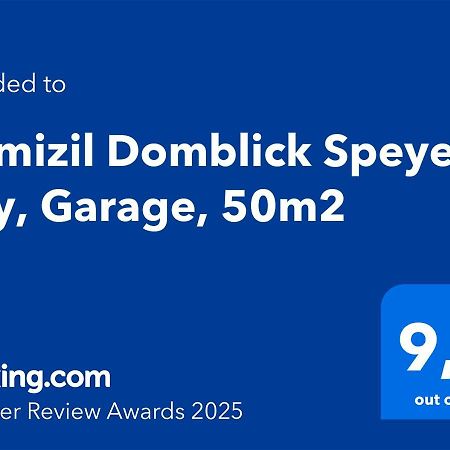 Domizil Domblick Speyer City, Garage, 50M2 Eksteriør billede