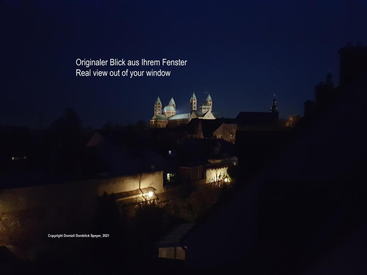 Domizil Domblick Speyer City, Garage, 50M2 Eksteriør billede