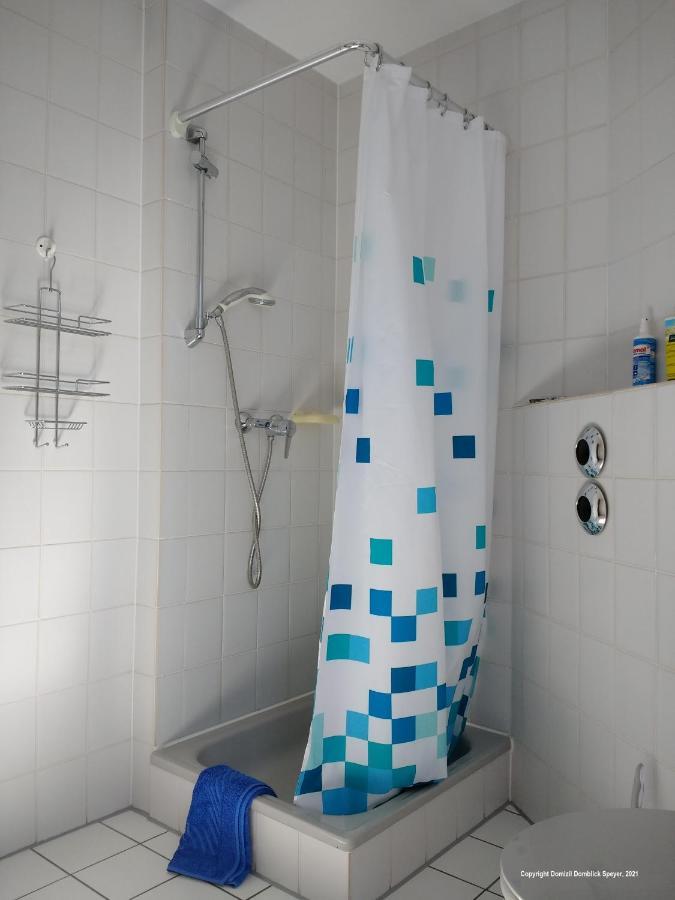 Domizil Domblick Speyer City, Garage, 50M2 Eksteriør billede
