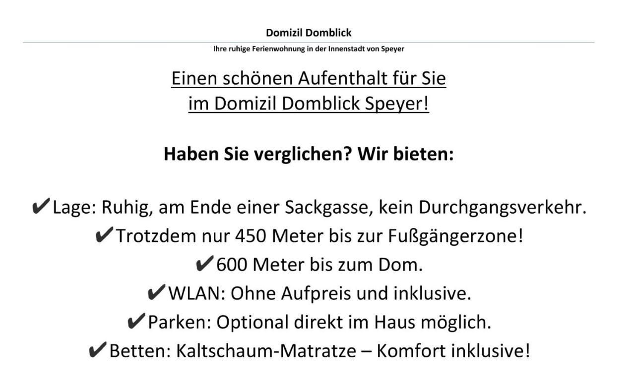 Domizil Domblick Speyer City, Garage, 50M2 Eksteriør billede