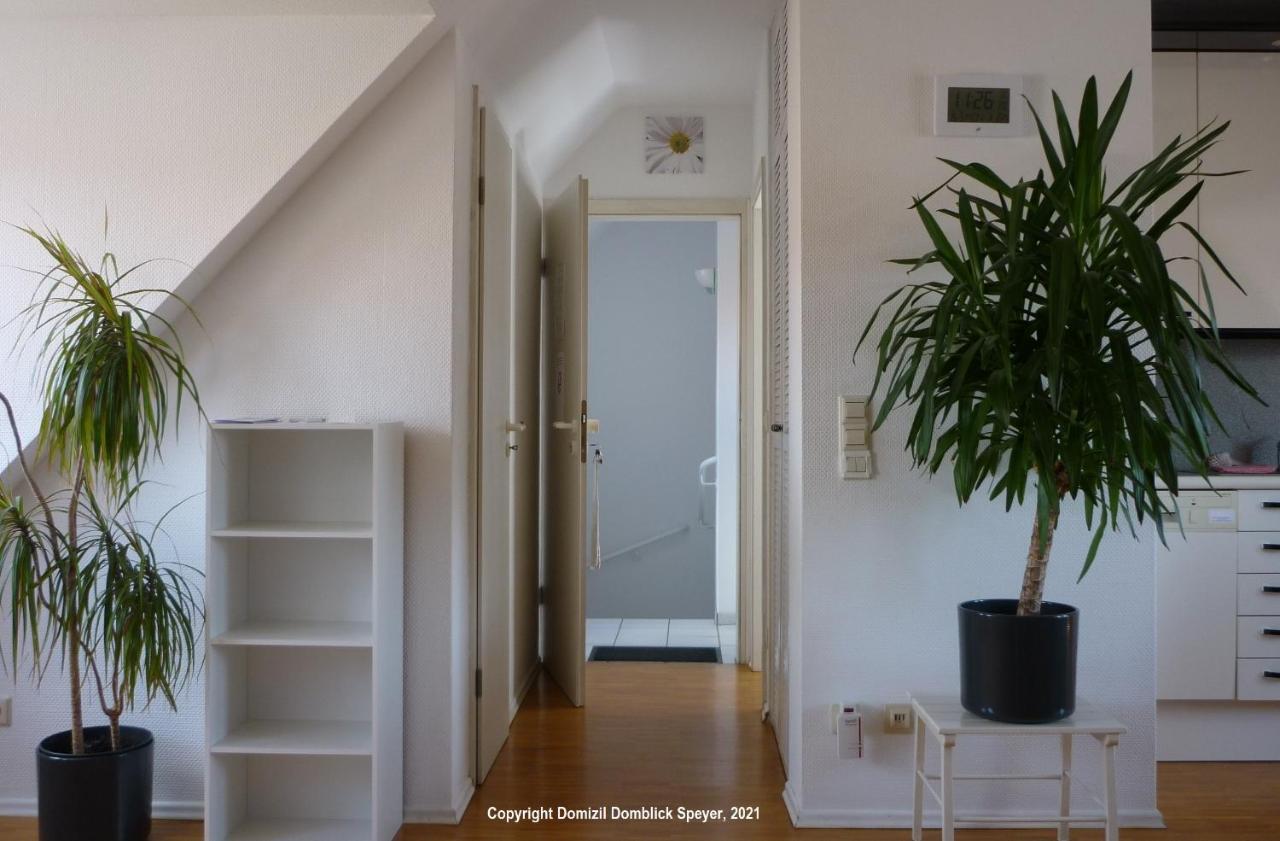 Domizil Domblick Speyer City, Garage, 50M2 Eksteriør billede