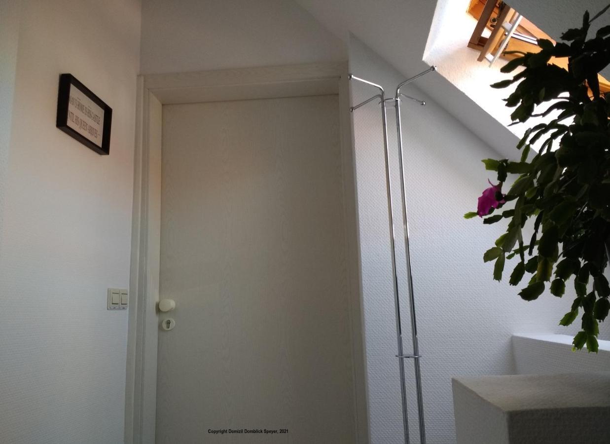Domizil Domblick Speyer City, Garage, 50M2 Eksteriør billede