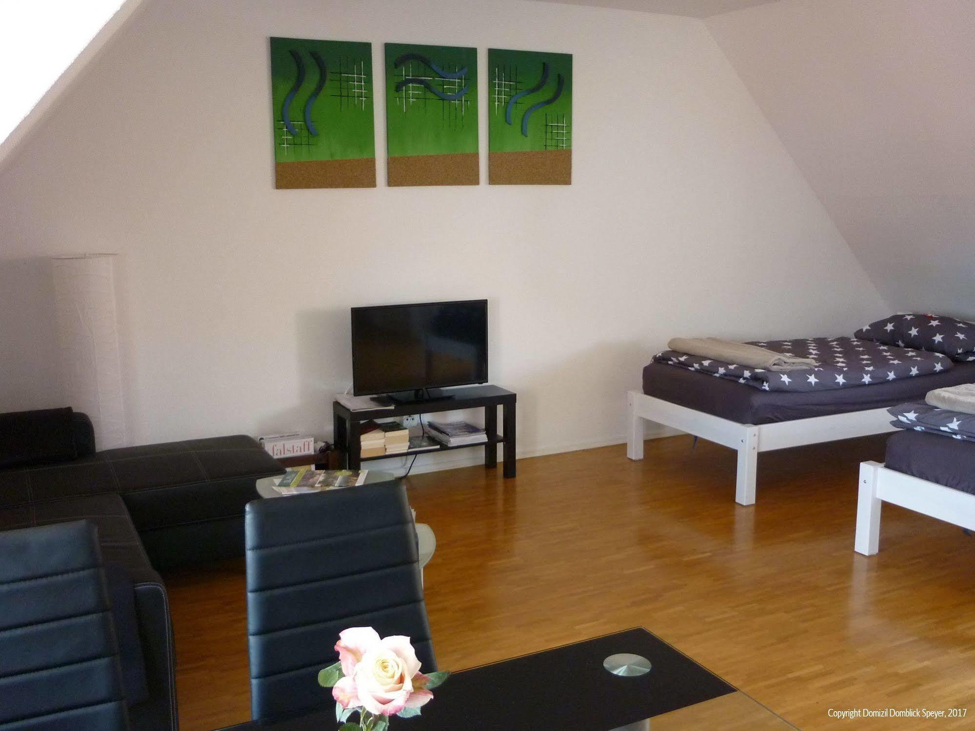 Domizil Domblick Speyer City, Garage, 50M2 Eksteriør billede