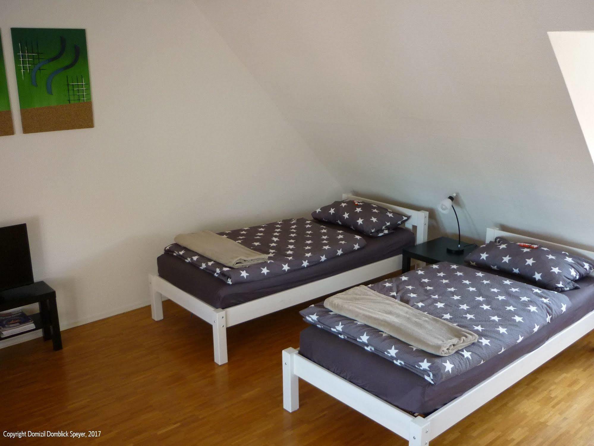 Domizil Domblick Speyer City, Garage, 50M2 Eksteriør billede